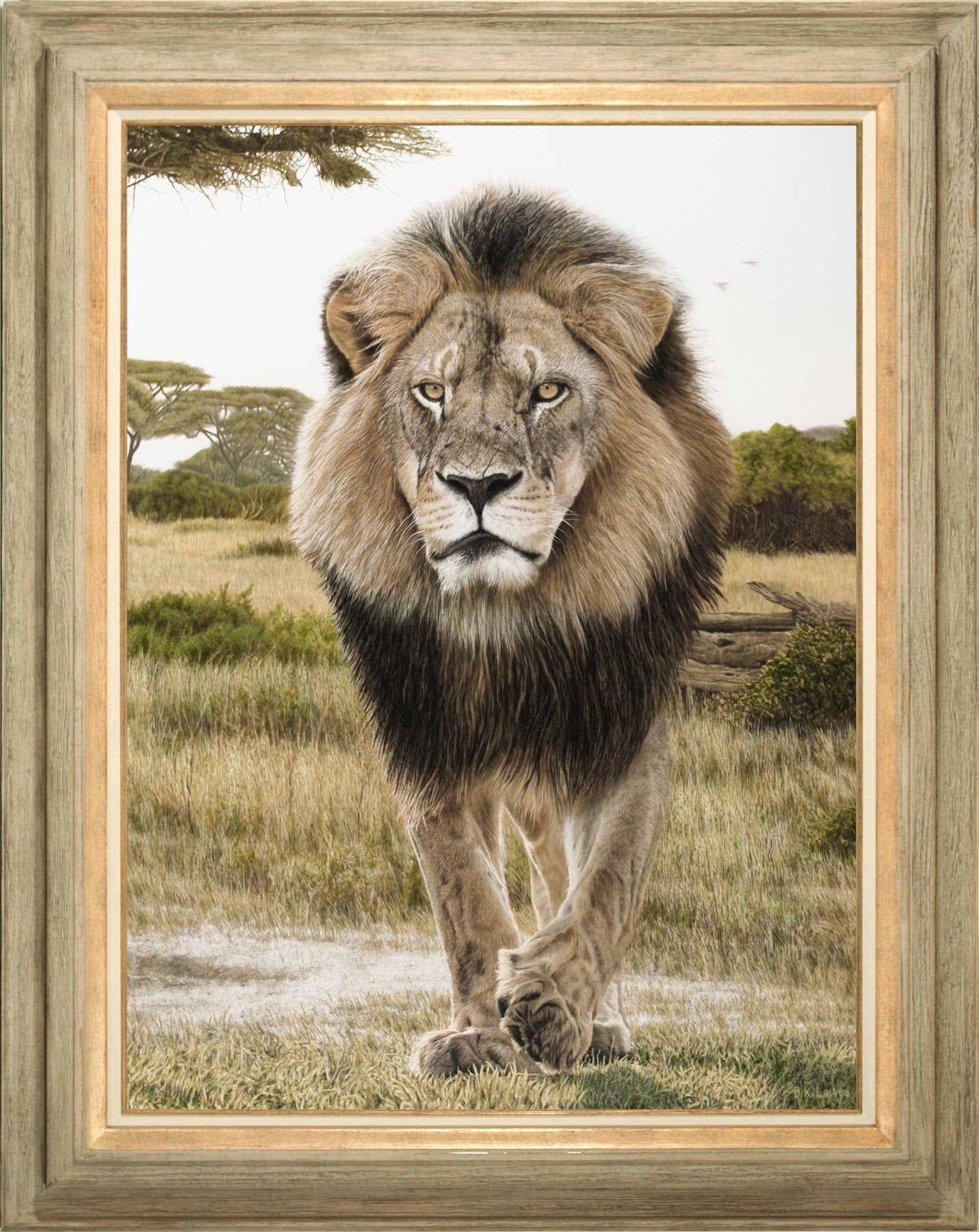Bruce Lawes - I Am Cecil