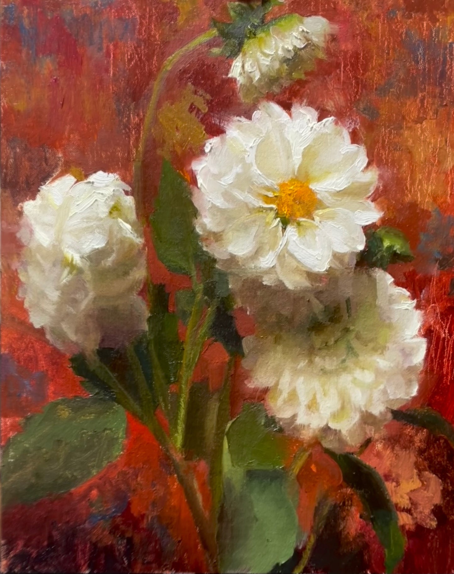 Ashwini Bharathula - Dahlia Dream