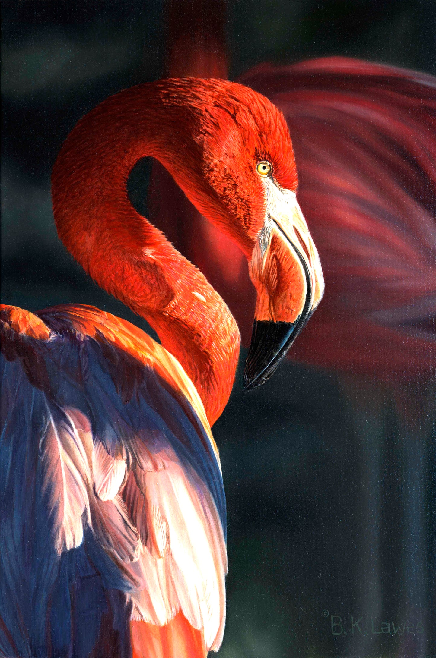 Bruce Lawes - Royal Flush