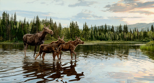 Bruce Lawes - The Adventure Begins