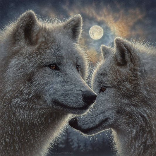 Collin Bogle - Moonlight Mates