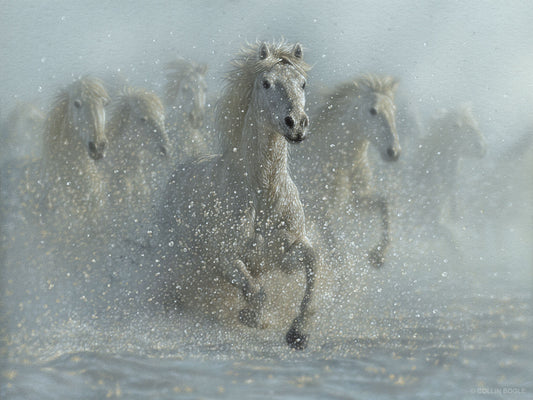 Collin Bogle - Running Wild