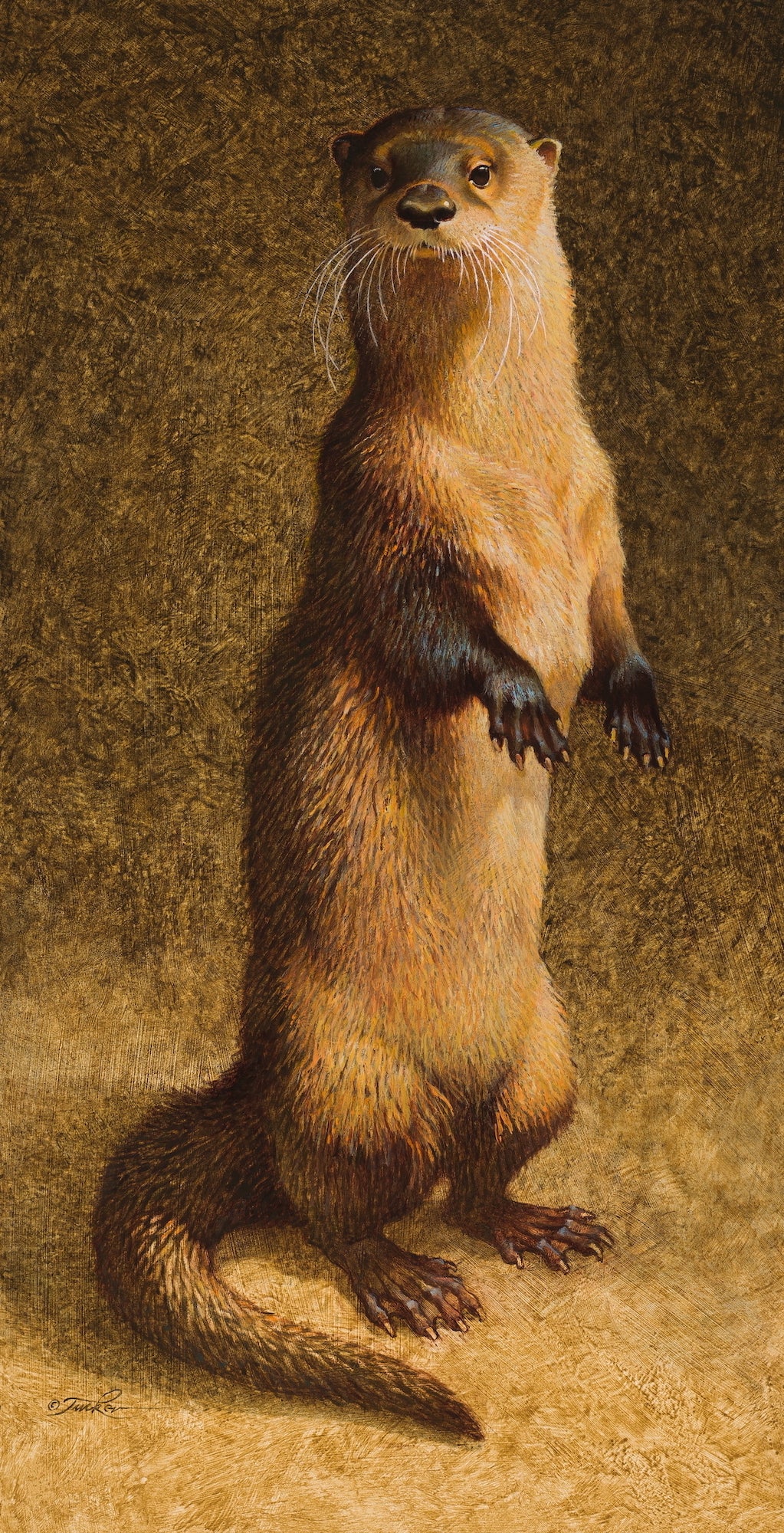Ezra Tucker - Young Otter