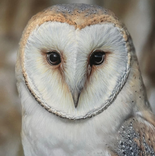 J.R. Hess - Keeper of Dreams