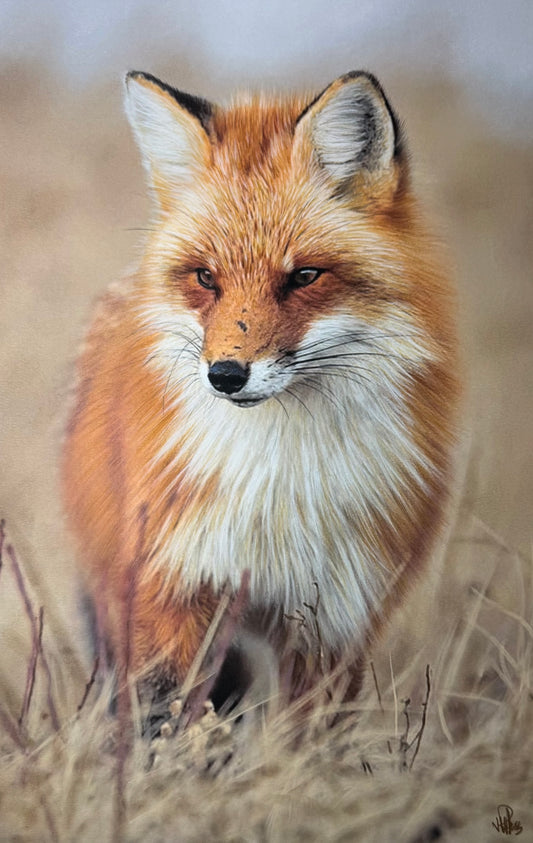 J.R. Hess - The Fox of Faded Fields