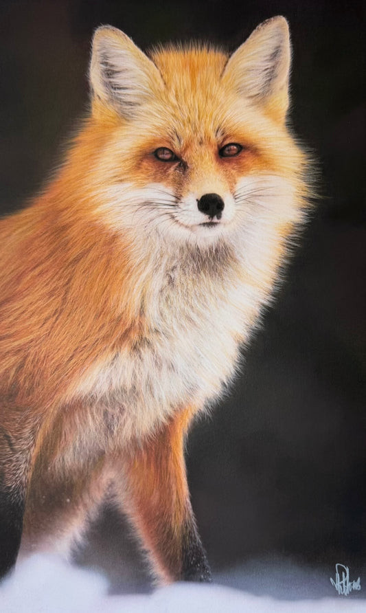 J.R. Hess - Winter's Wildfire