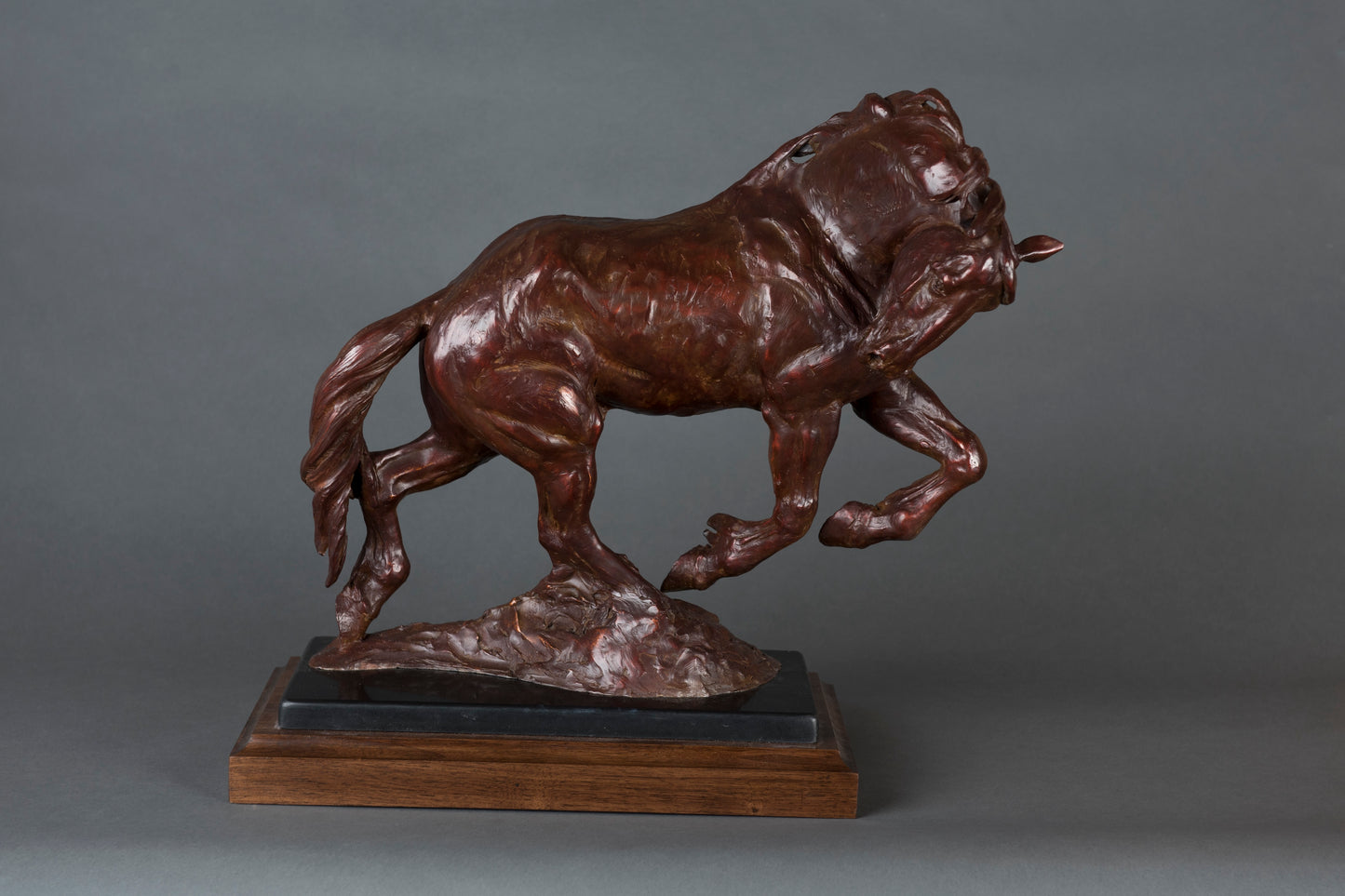 J.C. Dye - Strutting His Stuff