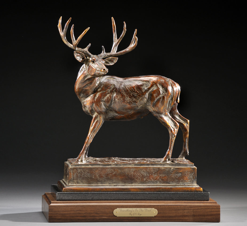 J.C. Dye - Something's In The Wind