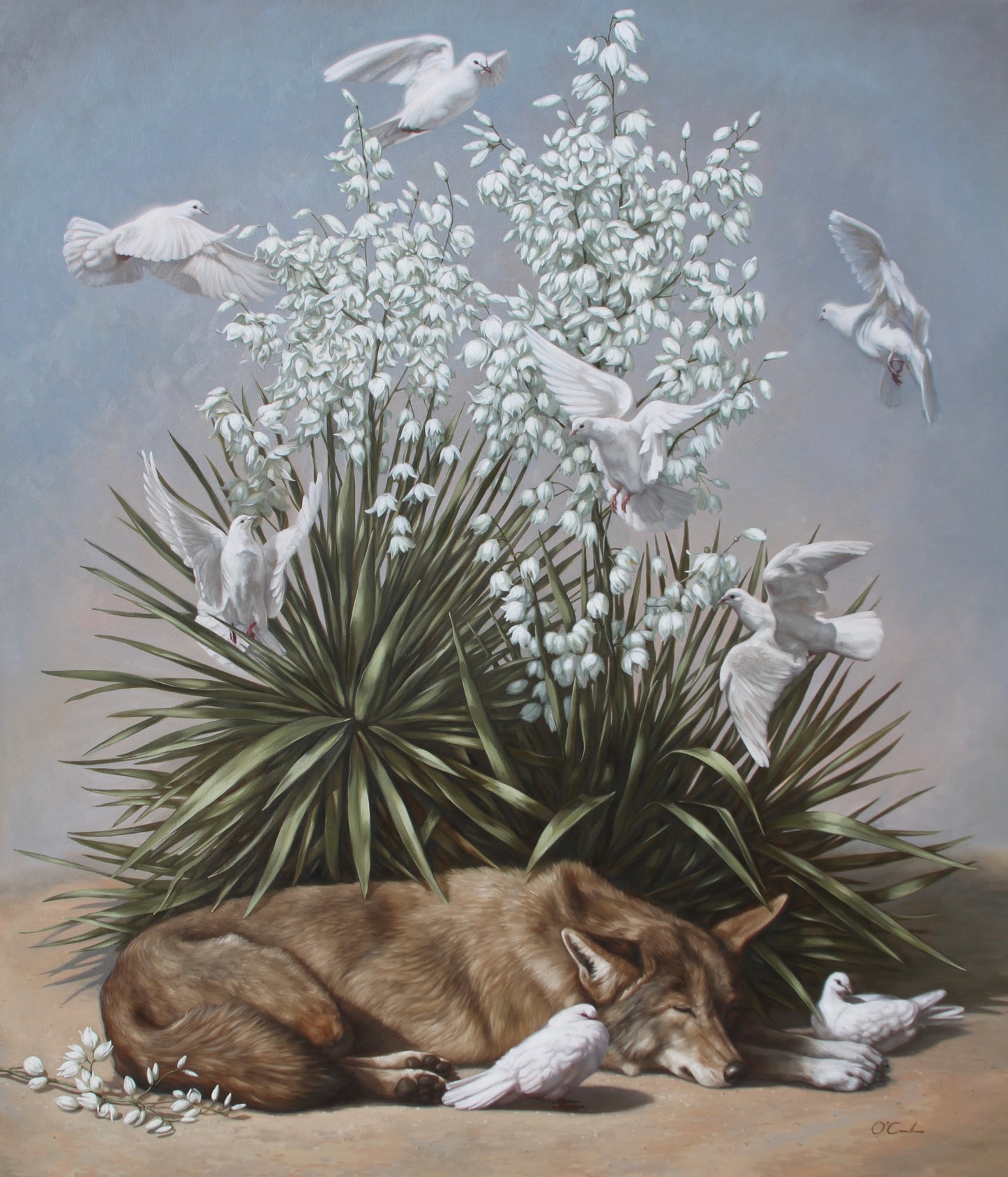 Jennifer O'Cualain - Dreaming of Peace