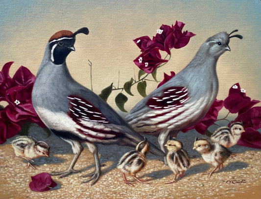 Jennifer O'Cualain - Family Outing