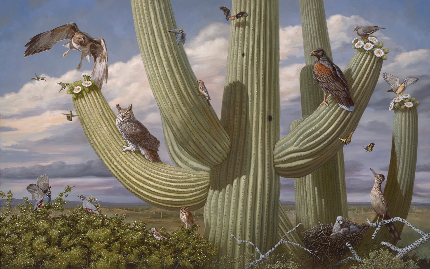 Jennifer O'Cualain - Monsoon Spectators