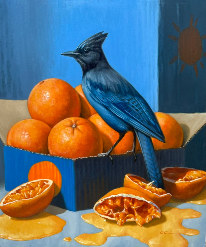 Jennifer O'Cualain - Squeeze The Day!