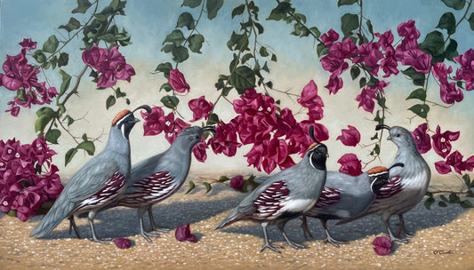 Jennifer O'Cualain - The Bougainvillea Brigade