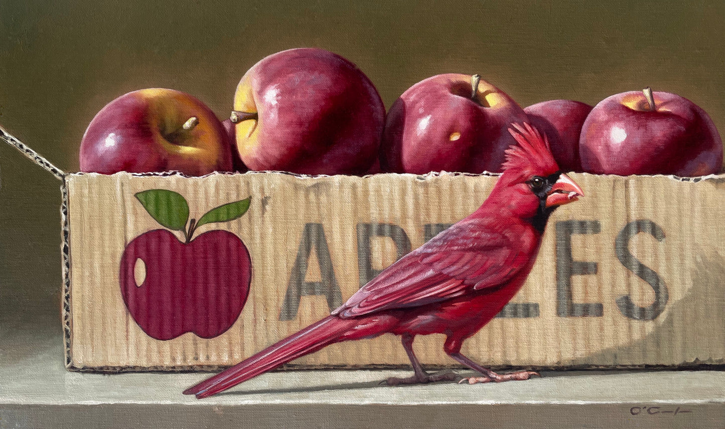 Jennifer O'Cualain - The Cardinal's Sin