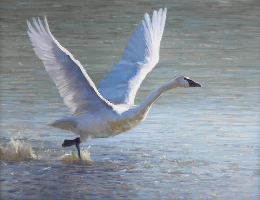 Kathleen Dunphy - Liftoff