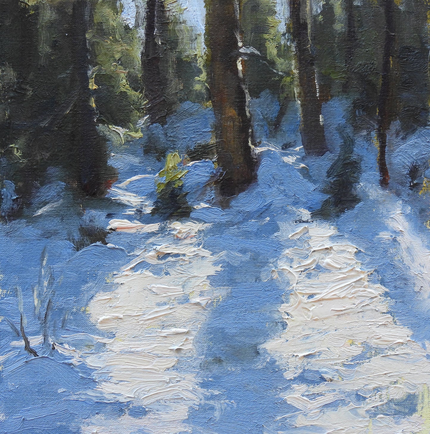 Kathleen Dunphy - Sunbeams