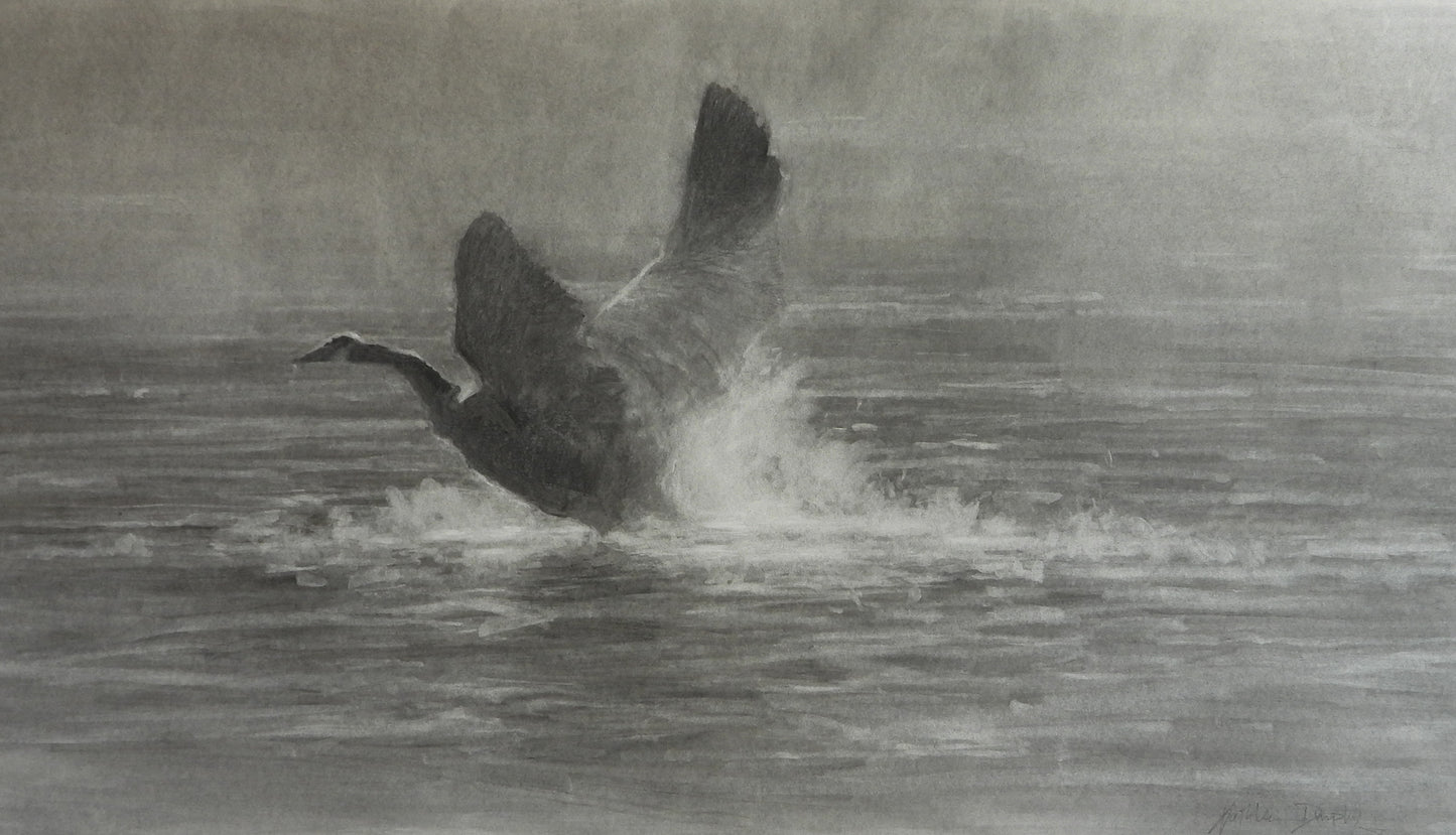 Kathleen Dunphy -Takeoff