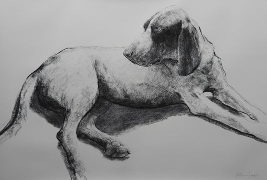 Kathleen Dunphy - Who's A Good Boy