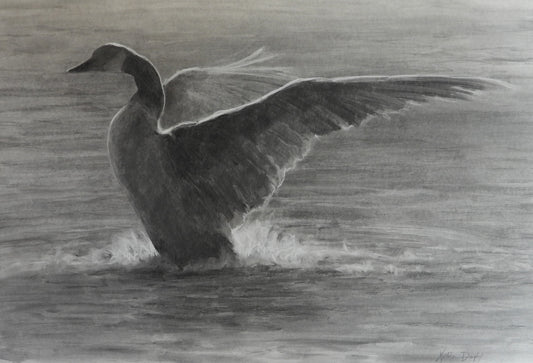 Kathleen Dunphy - Wingtips