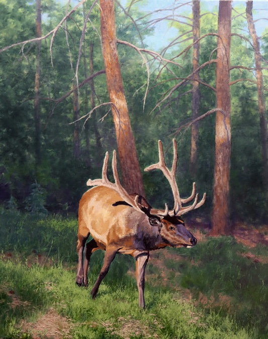 Lori Forest - Legend