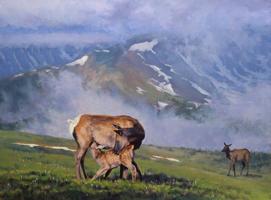 Lori Forest - Newer Summer Native