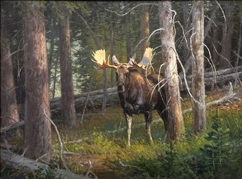Ralph Oberg - Wyoming Moose