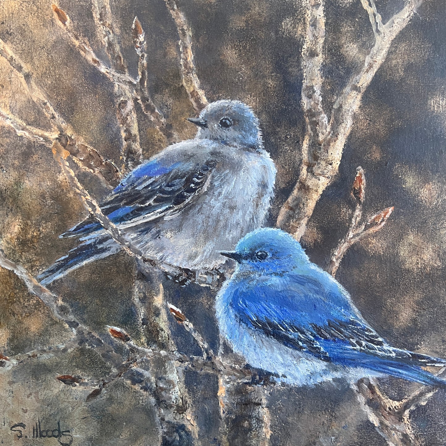 Sarah Woods - This Is "Where Spring Begins"