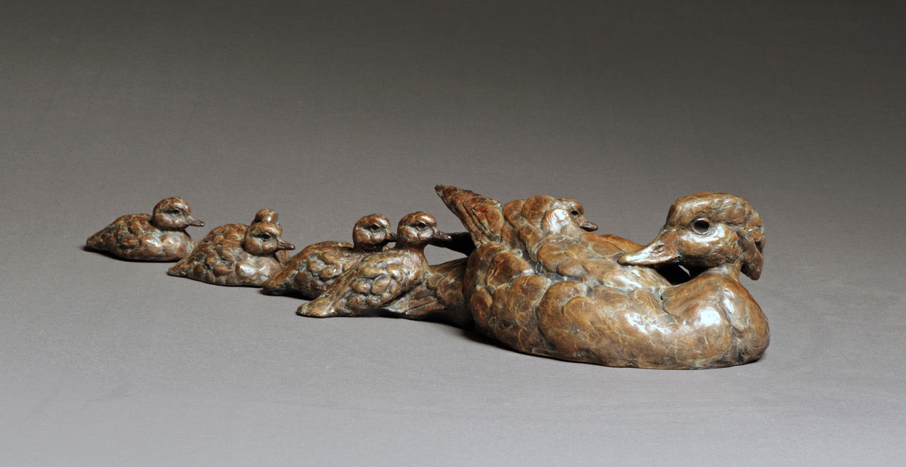 Stefan Savides - Ducks In A Row