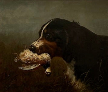 Arthur Tait - Bird Dog