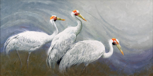 Krystii Melaine - Brolgallivanting - Australian Brolga
