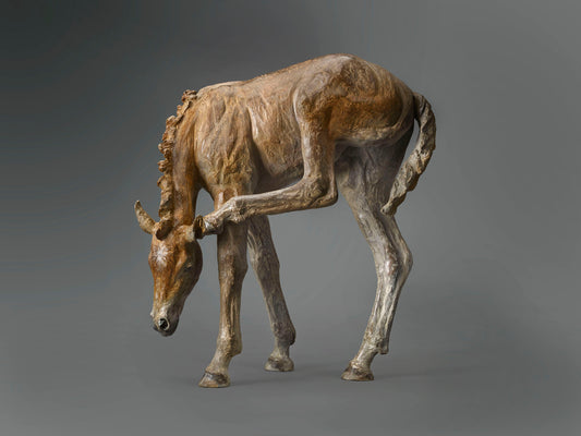 Deborah C. Fellows She's A Little Wet Behind The Ears