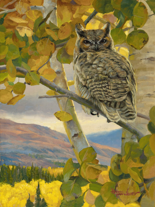 Dustin Van Wechel-Passing Judgment