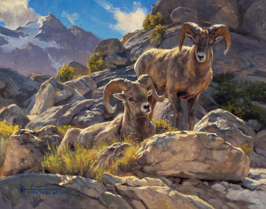 Dustin Van Wechel - Rocks and Rams
