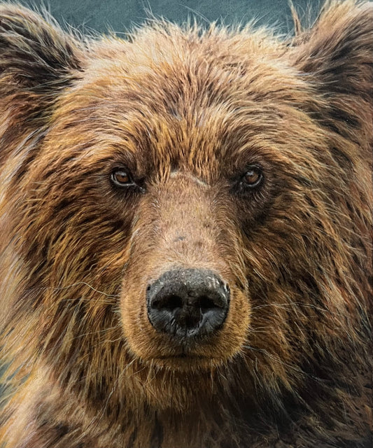 J.R. Hess - Close Encounters