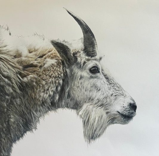 J.R. Hess - The Mountaintop Molt