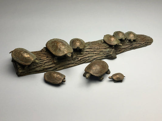 James G. Moore - 9 Turtles