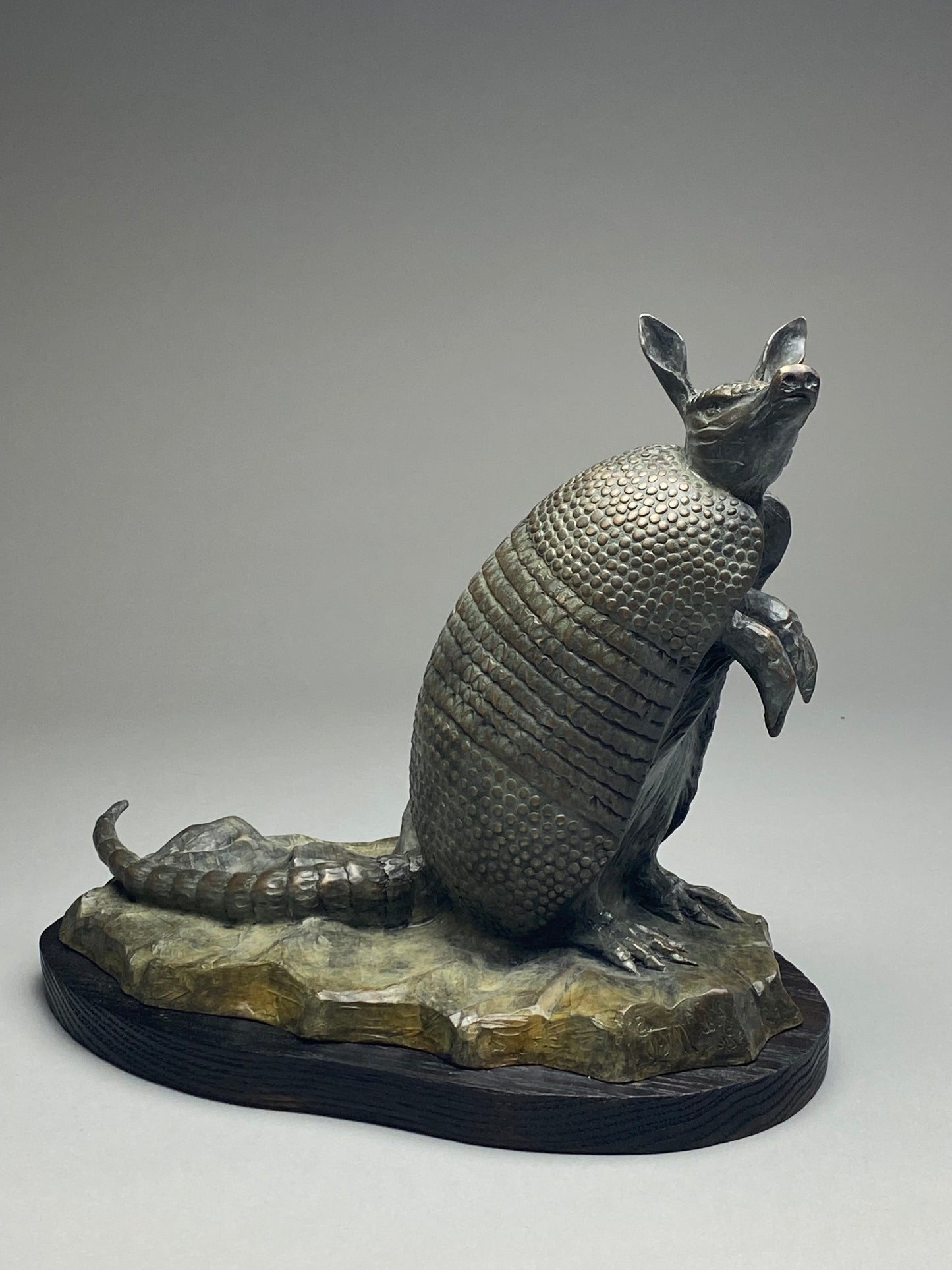 James G. Moore - The Gardener - Armadillo
