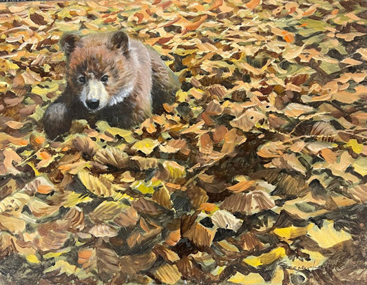 John Seerey-Lester - Baby Bear In Leaves