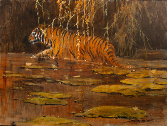 Sir John Seerey-Lester - Tiger Lily