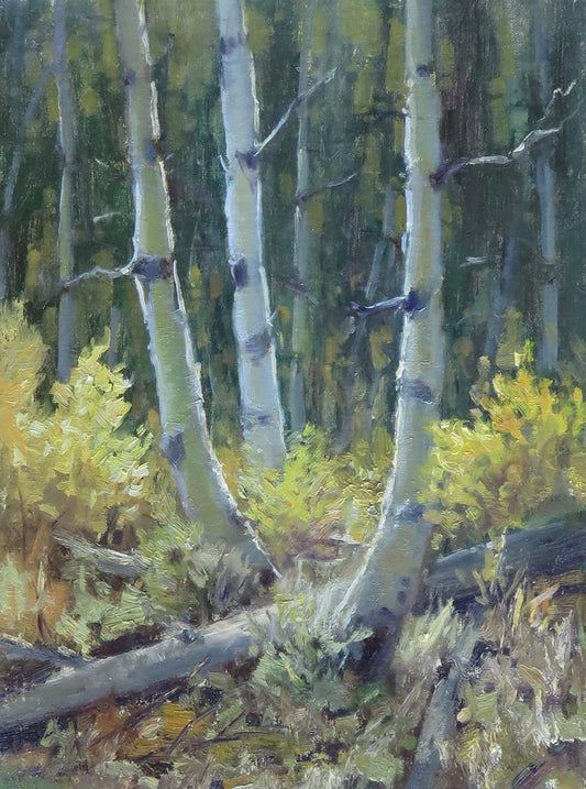 Kathleen Dunphy - Autumn Textures