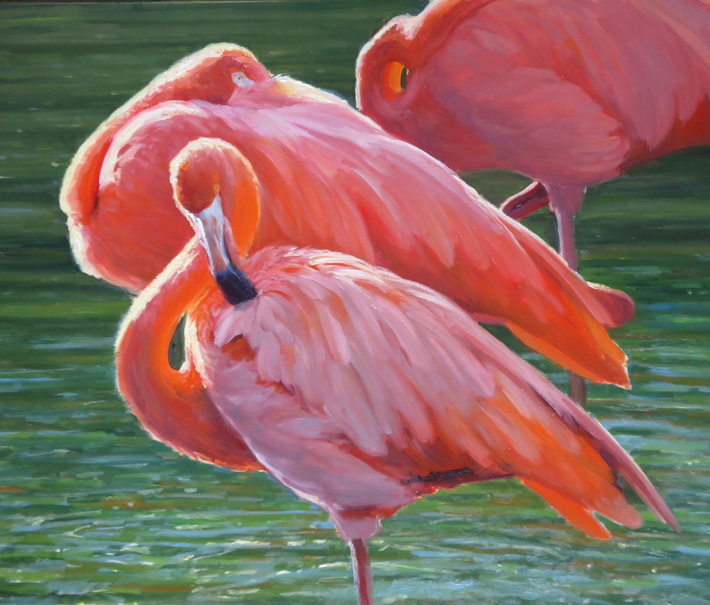 Kathleen Dunphy - Tickled Pink