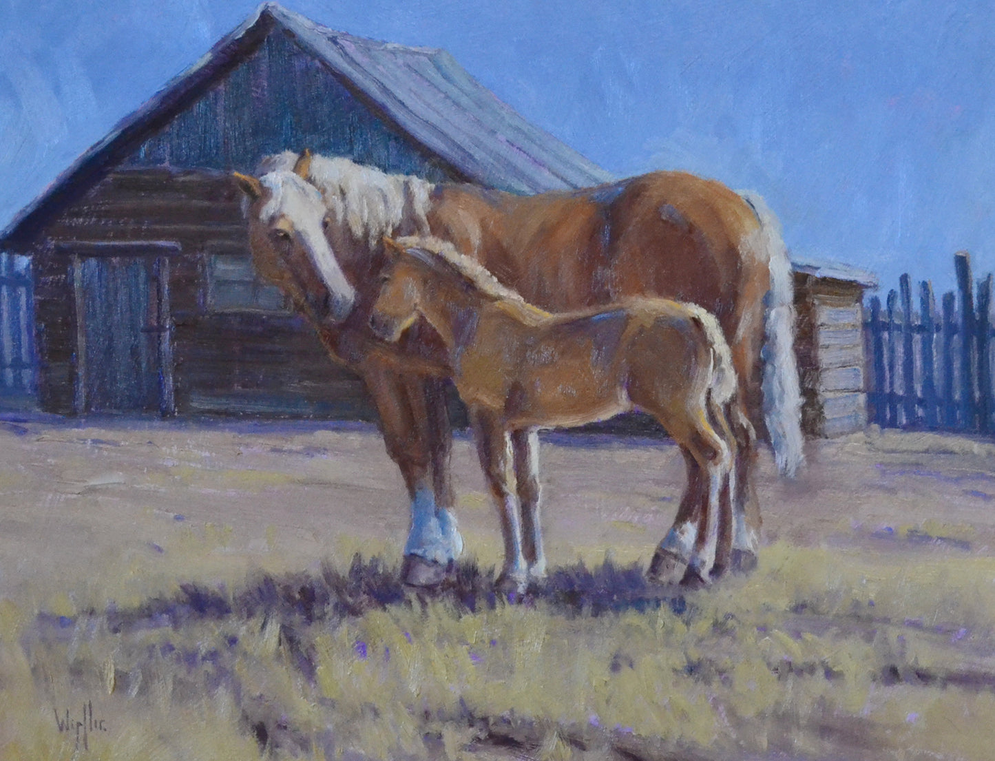 Kathy Wipfler - Belgian Pair