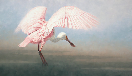 Krystii Melaine-Alight - Roseate Spoonbill