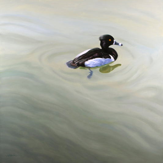 Krystii Melaine - Afloat - Ring-Necked Duck