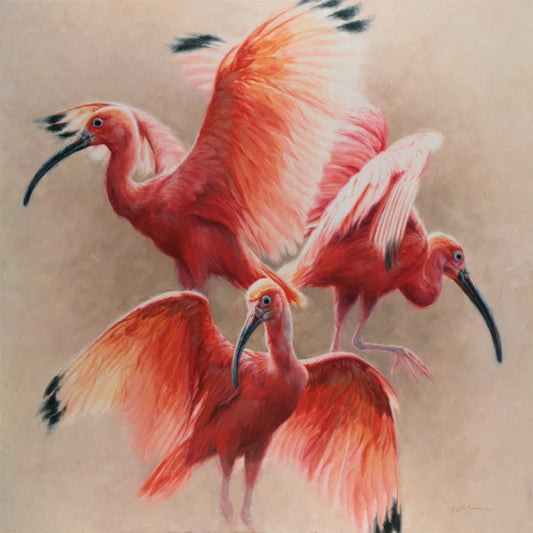 Krystii Melaine-Ibisoseismic