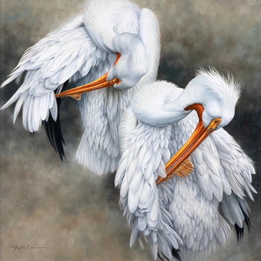 Krystii Melaine - Pelicantortions - American While Pelicans