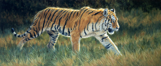 Krystii Melaine Prince of Siberia