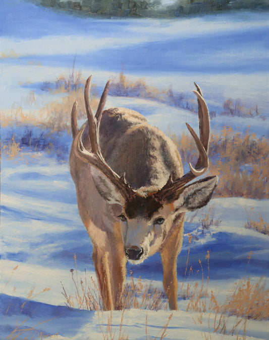 Lori Forest - Winter's Warrior