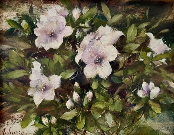 Robert Johnson - Azalia Spring