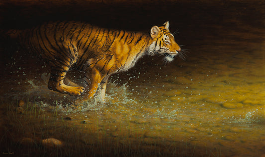 Shawn Gould - Out From the Shadows